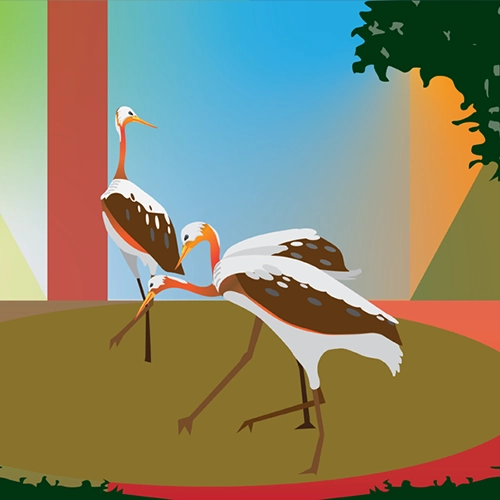 Florida Egrets