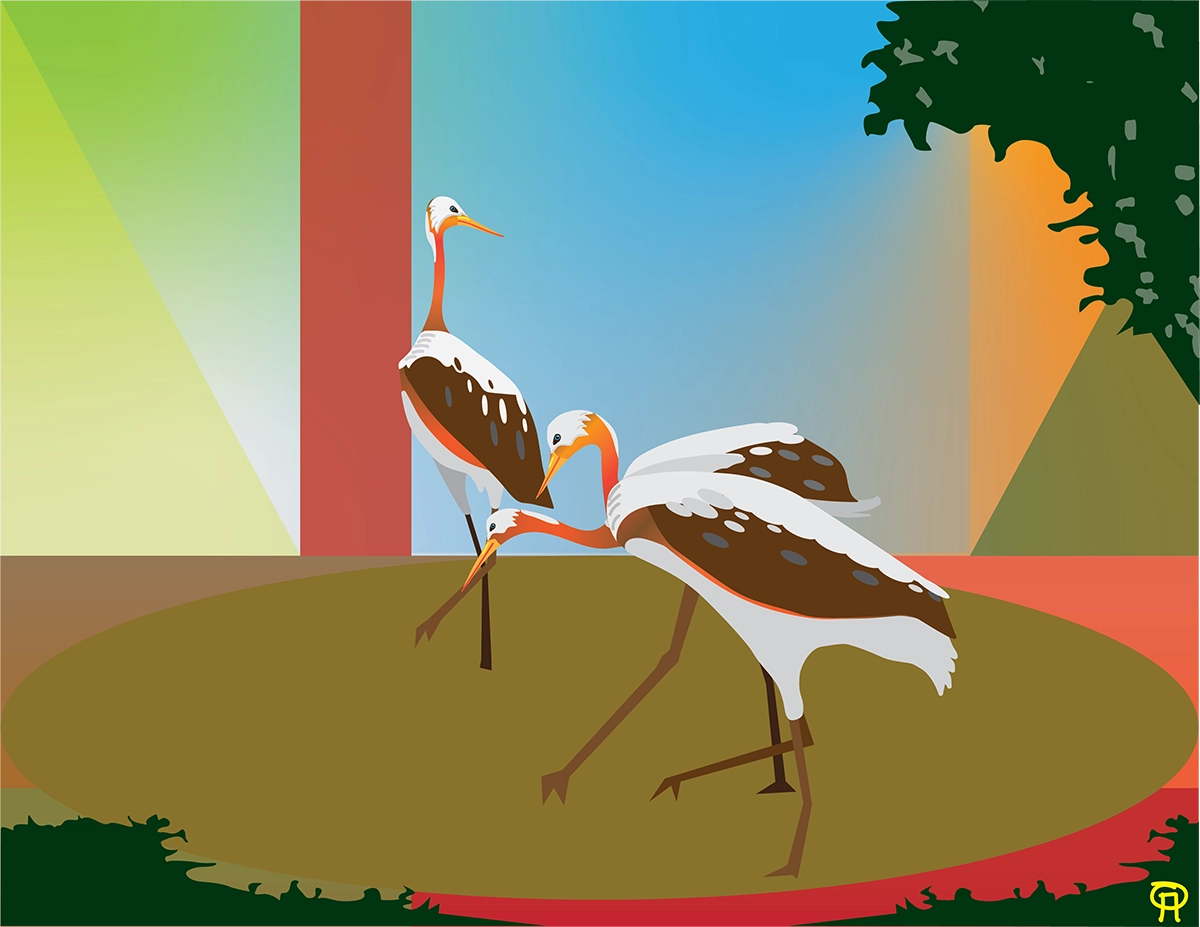 Florida Egrets