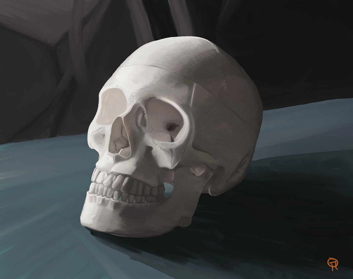 Skull Still Life