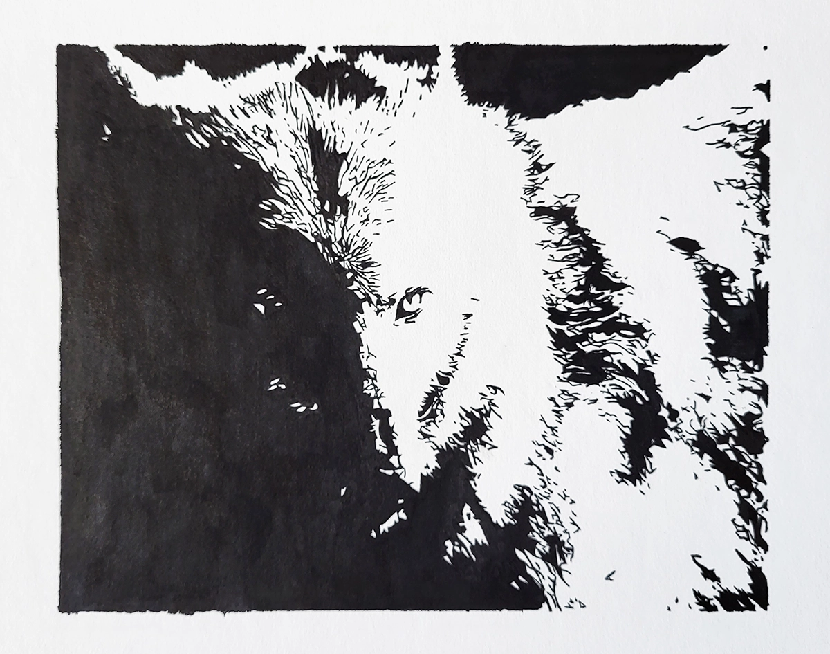 Wolf Two-Toned