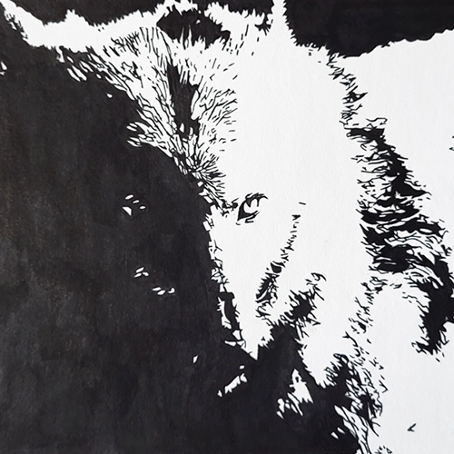 Wolf Two-Toned
