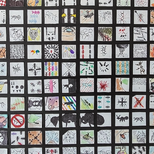 Ant Thumbnails