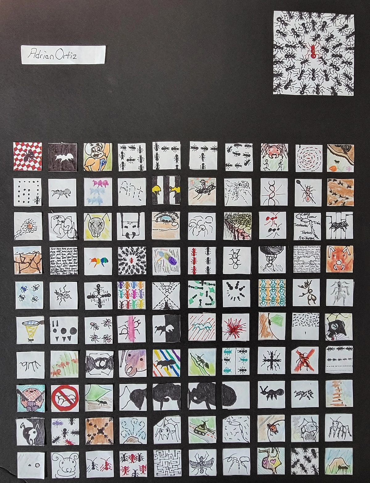 Ants Thumbnails 100 Ways