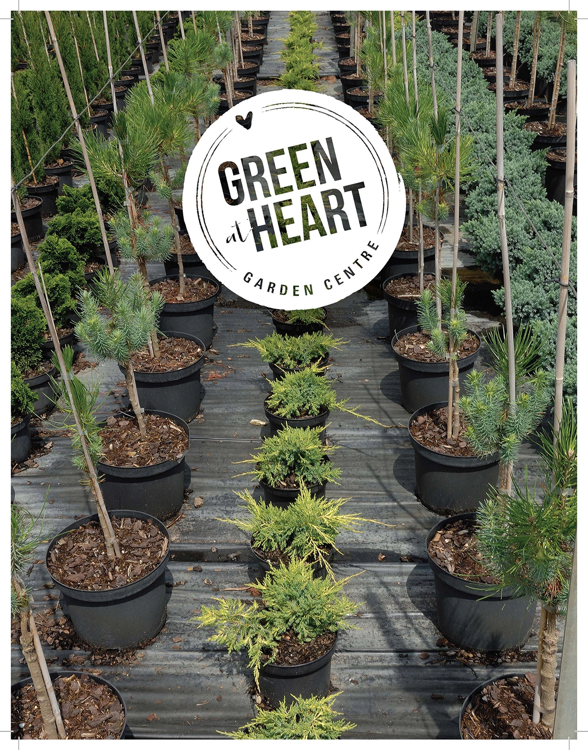 GaH Newsletter Cover