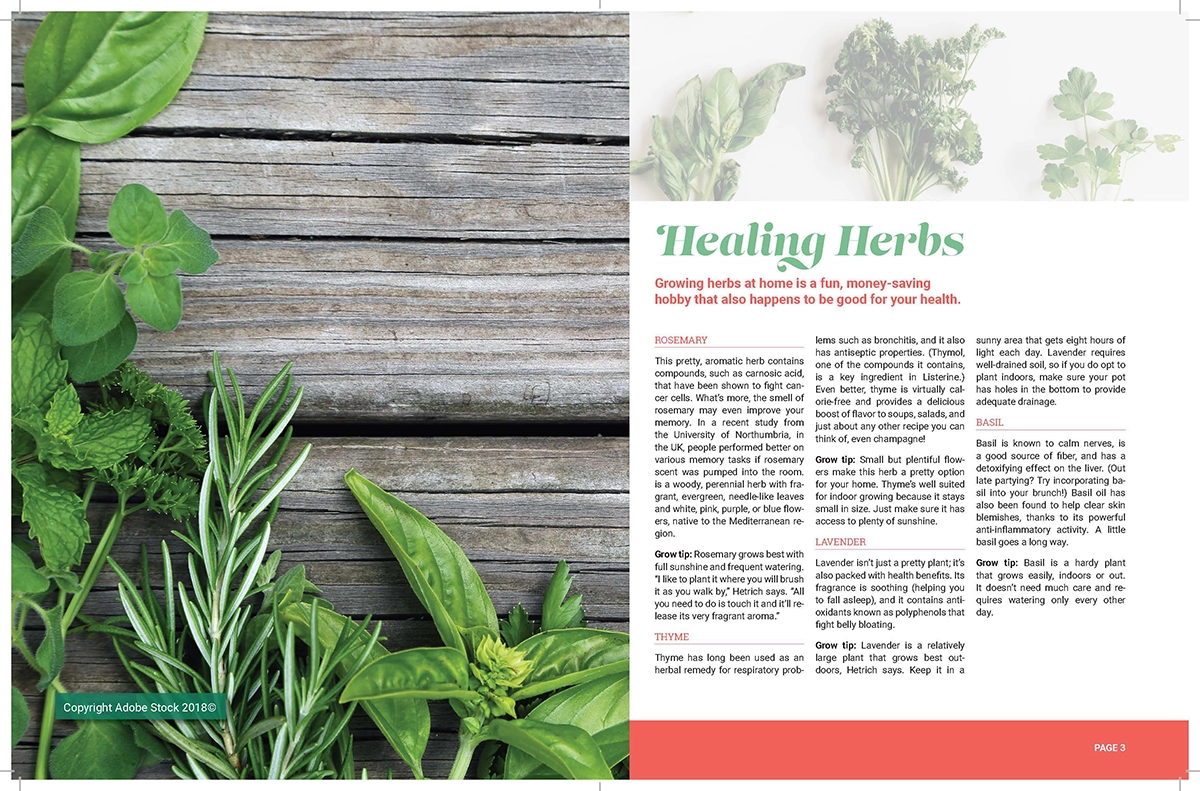 GaH Newsletter Spread 1