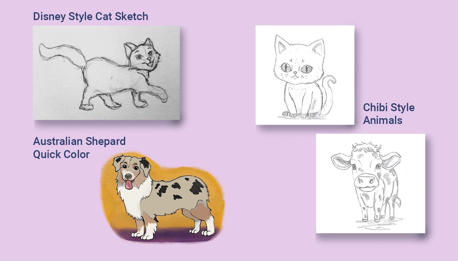 Animal Sketches